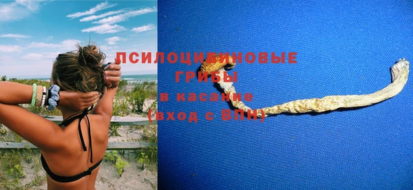 прущие грибы Балабаново