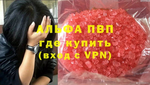 прущие грибы Балабаново