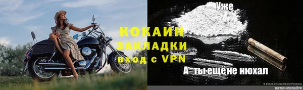 прущие грибы Балабаново