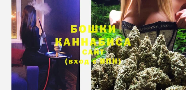 прущие грибы Балабаново