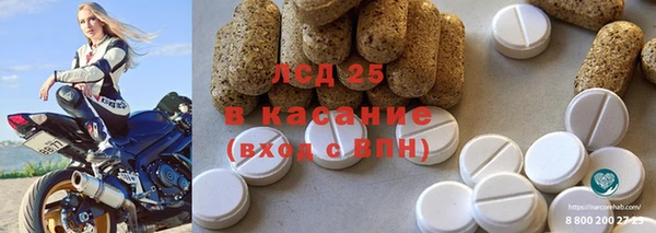 прущие грибы Балабаново